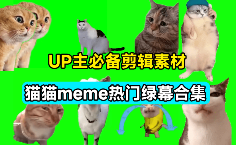 UP主必备！B站某音热门绿幕视频素材，180套猫猫meme动态绿幕合集包，含背景图BGM，含使用教程-FreeDw资源库