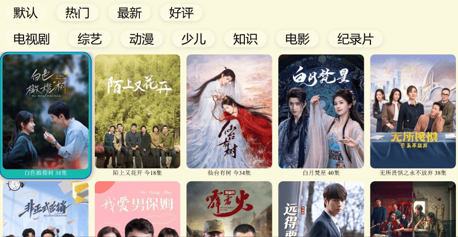 图片[3]-免费开源专业电视端TV浏览器！可观看CCTV及各大卫视，无需VIP，且支持访问主流视频平台 油桃TV-FreeDw资源库