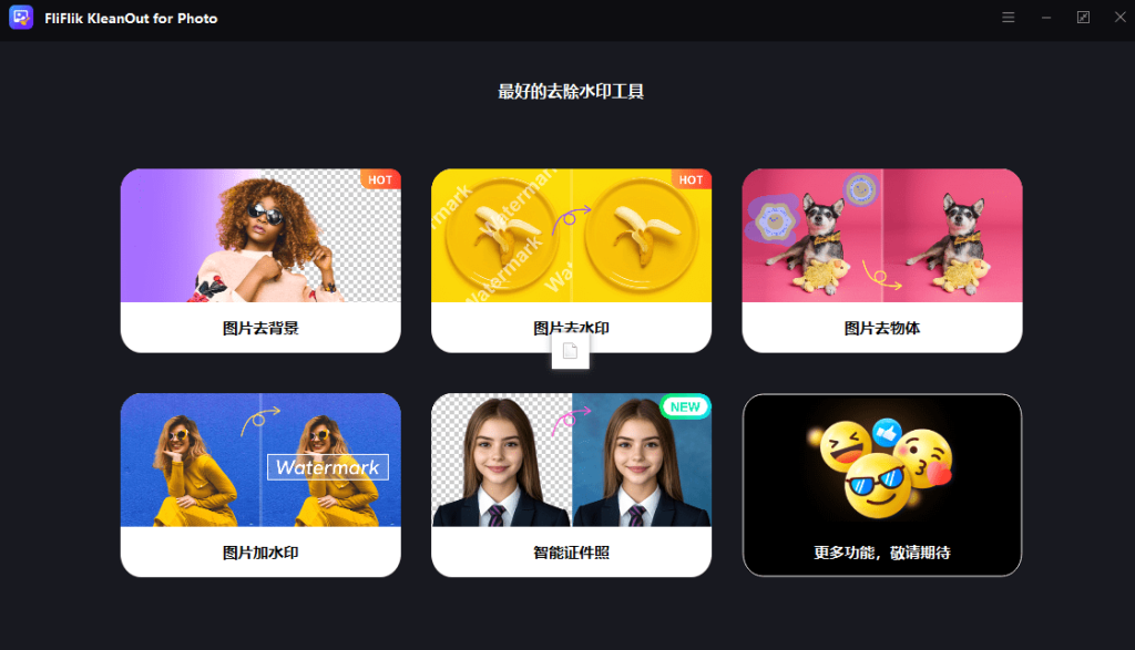 图片[2]-人工智能处理图像工具！支持批量，图片去水印神器！一键去水印，抠图，人物背景替换等，完全免费-FreeDw资源库