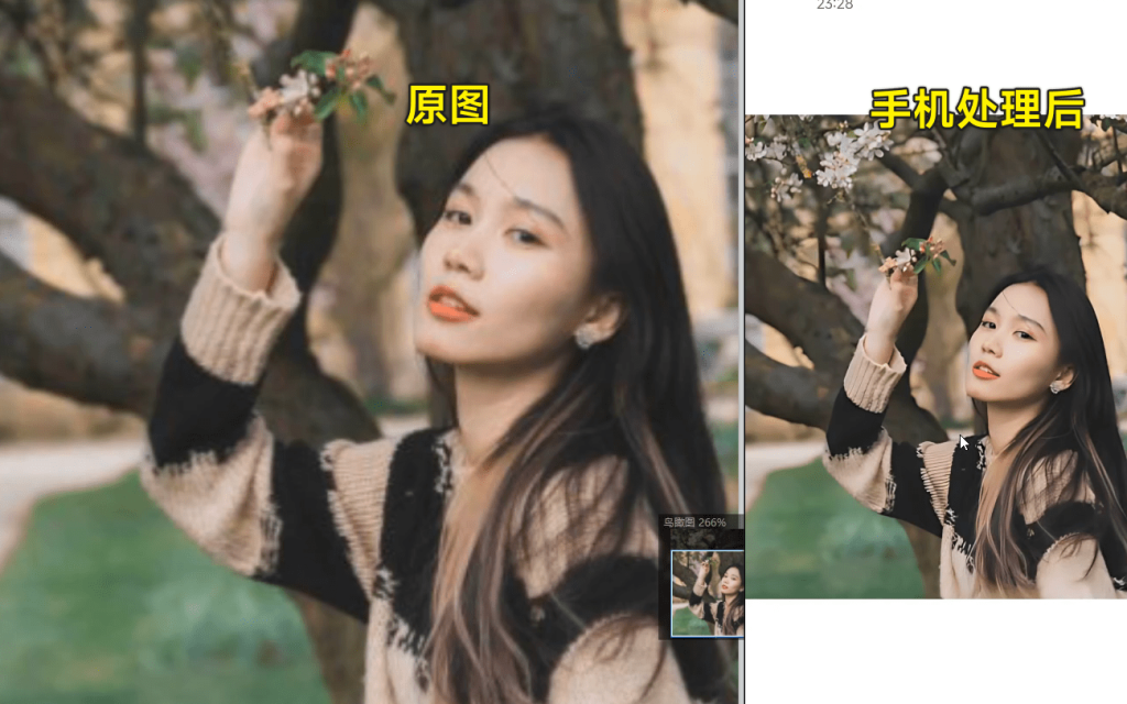 图片[4]-图片放大画质增强工具！开源免费手机无损放大修复图片，最高支持x16倍，效果惊艳 Super Image-FreeDw资源库