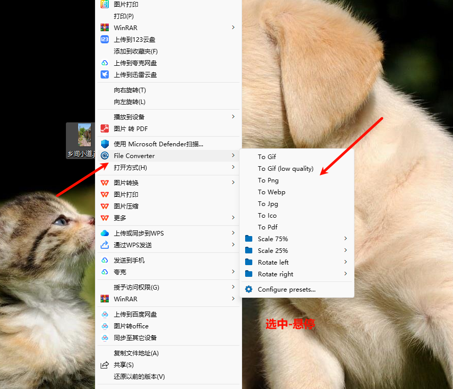 图片[2]-【FileConverter】免费的格式转换工具，无需破解！-FreeDw资源库