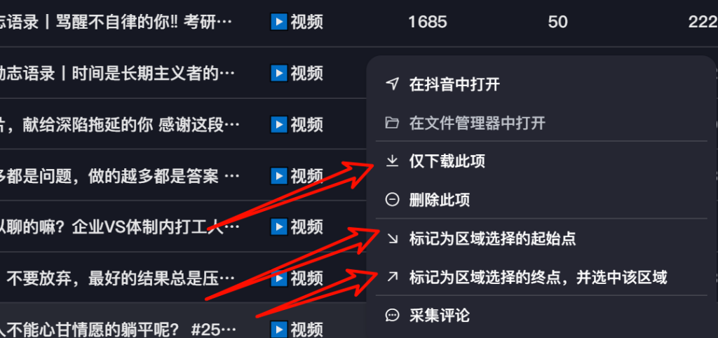 图片[8]-DYD短视频无水印下载   短视频批量下载软件-FreeDw资源库