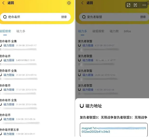 图片[2]-闪电磁力搜索+下载神器-FreeDw资源库