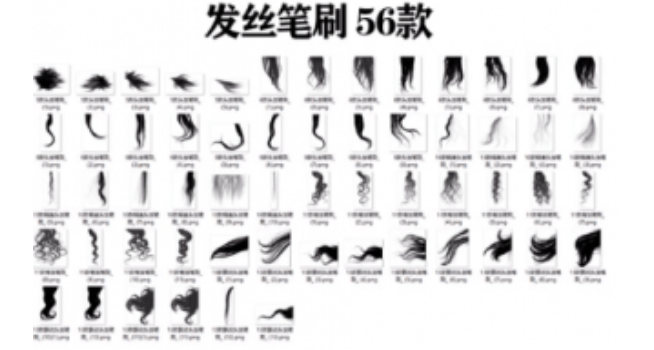 图片[8]-全网最全版本！证件照素材合集，近40GB素材文件，涵盖男女儿童结婚、海马体、形象照、五官全套素材-FreeDw资源库