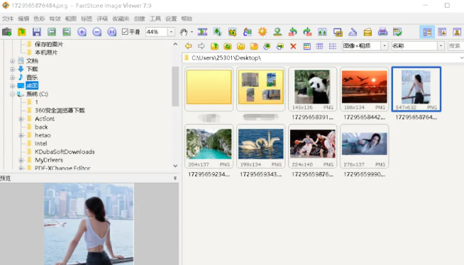【11.25】5分钟上手FSViewer！轻松管理几十万张图片，支持批量重命名和转换格式-FreeDw资源库