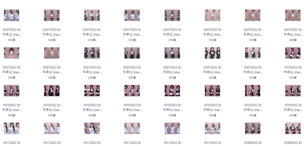 图片[2]-【限时免费】男生必看！8000+韩国美女性感Sexy热舞，大雷的视觉震撼！-FreeDw资源库